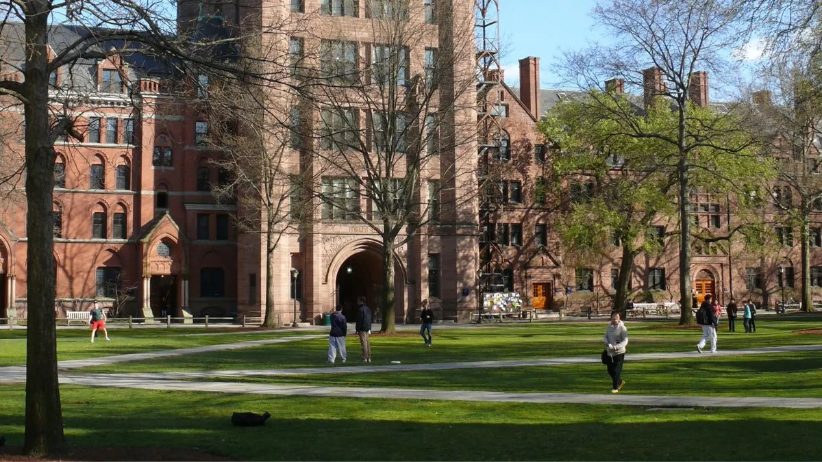 耶魯大學學者在恐怖聯繫的指控後暫停了“我們非常重視這些指控”