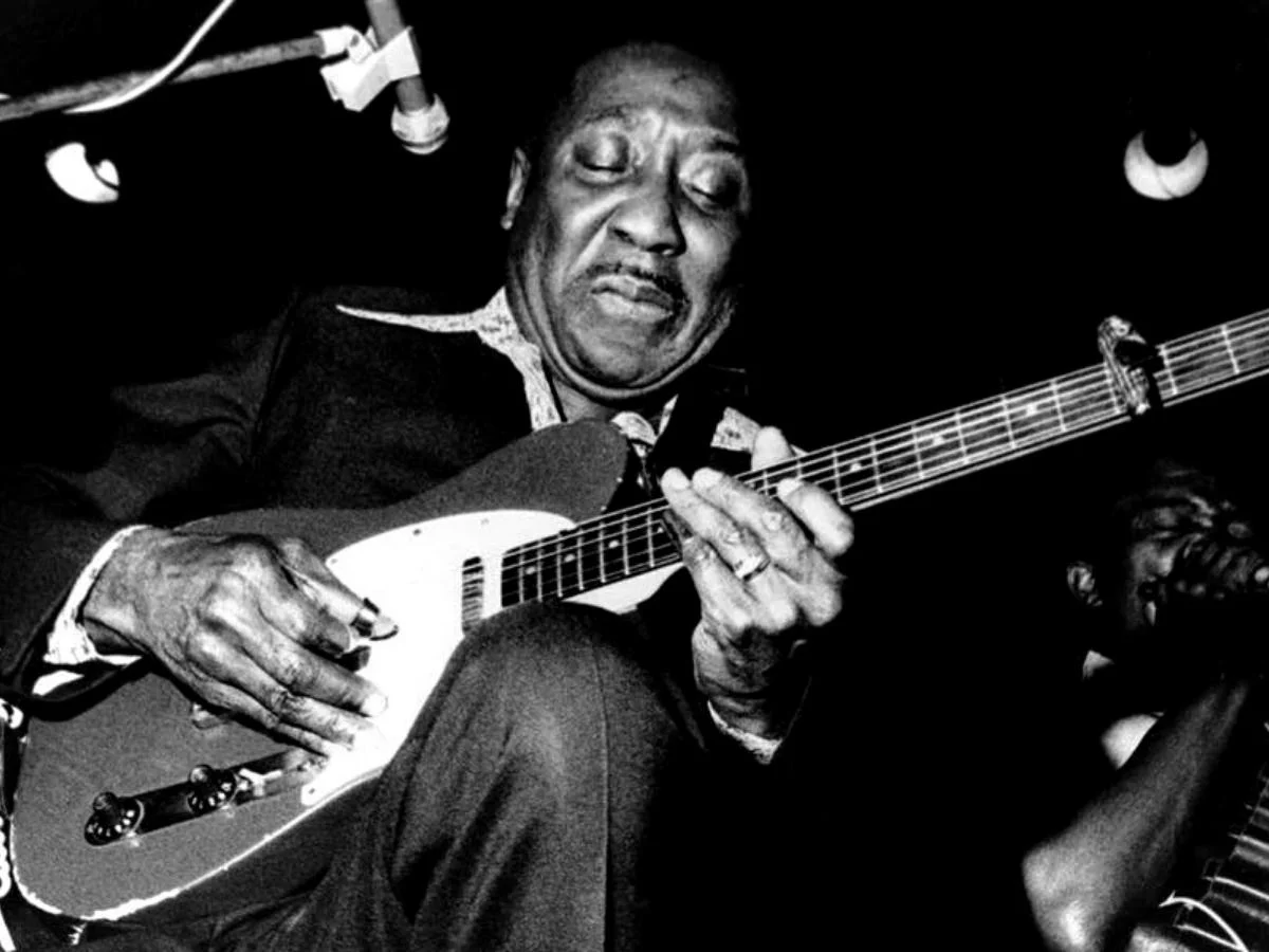 「Muddy Waters at Newport 1960」：終極搖滾起源唱片